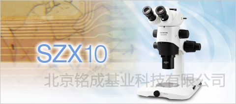 SZX10体视荧光显微镜SZX10-3151FL | SZX10体视荧光显微镜SZX10-3151FL价格参数